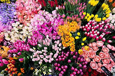 怪兽对战游戏《巨击大乱斗》哥斯拉联动正式公布