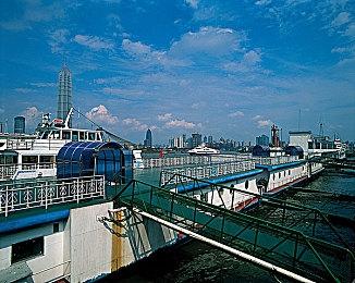 眼睛杀手 《宝可梦朱紫》Switch2版惊现全图太晶化BUG